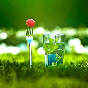 Background Nature View Greenery